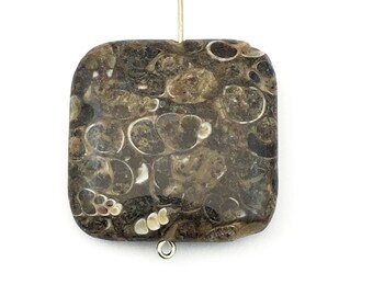 1 Turritella agate stone bead / 30mm square #PP 124