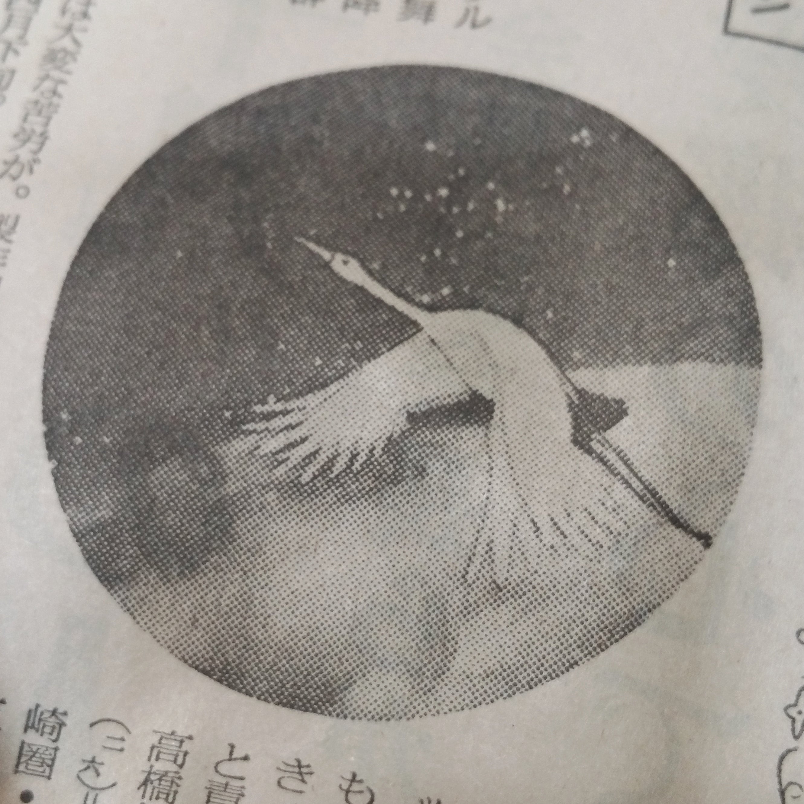 photo found in vintage Japanese newspaper