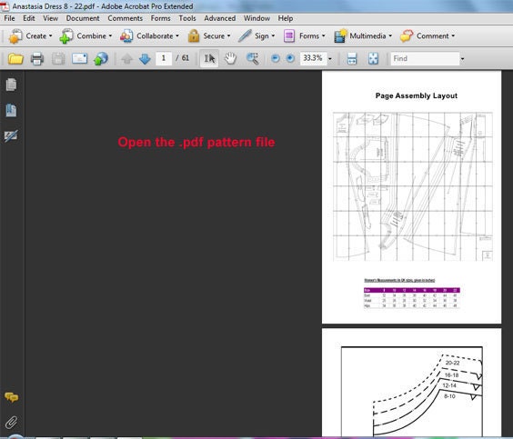 Adobe Acrobat Reader open image
