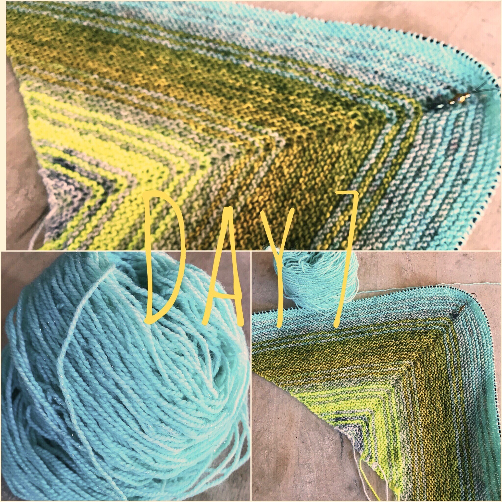 day 7 of shawl