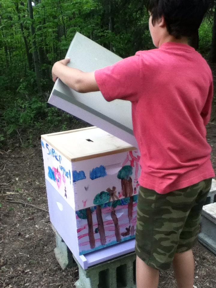 Putting the lid on our First Hive