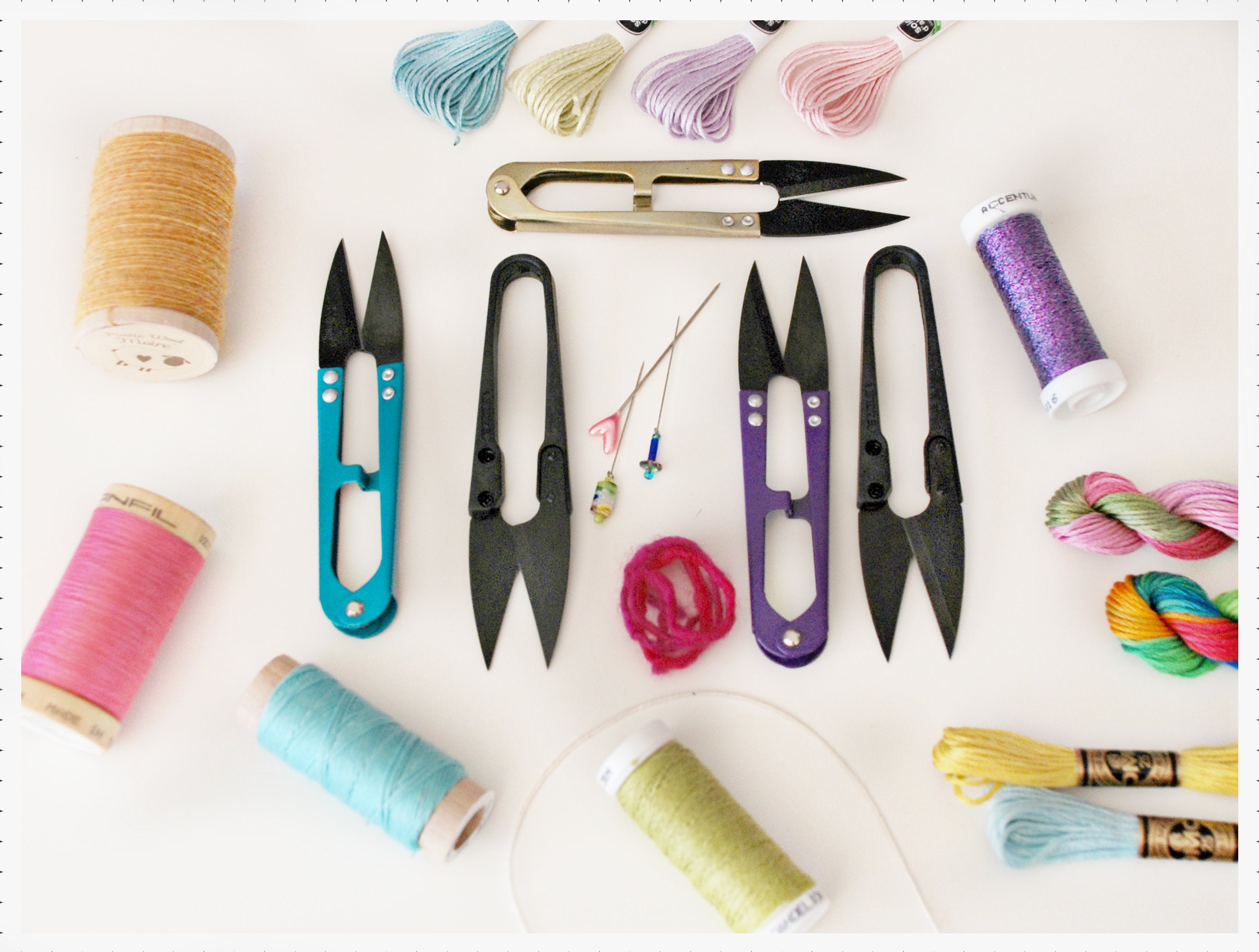 Thread and Floss Snips