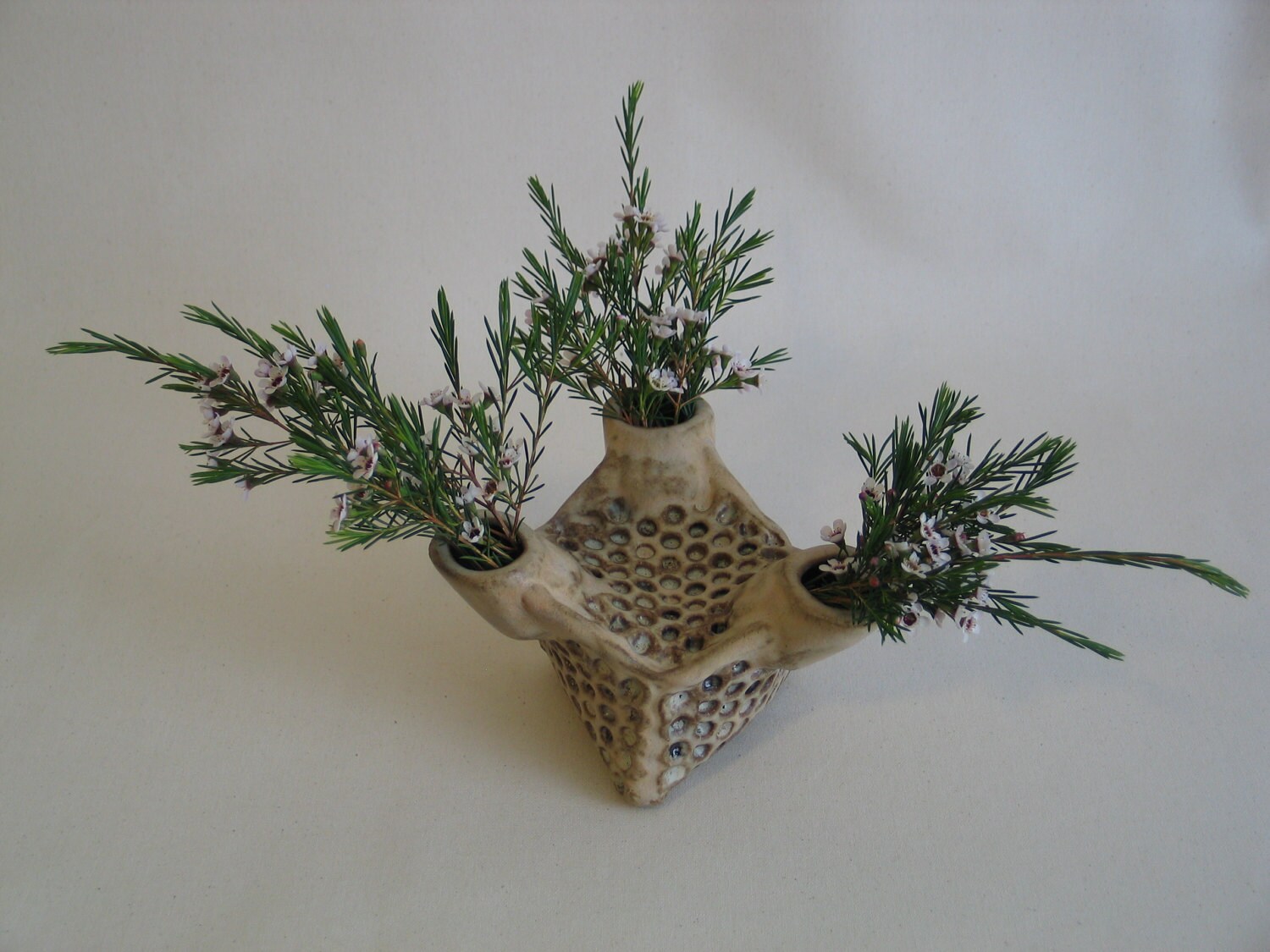 Ceramic Honeycomb vase.  Apis habilis:  Vase Number 7
