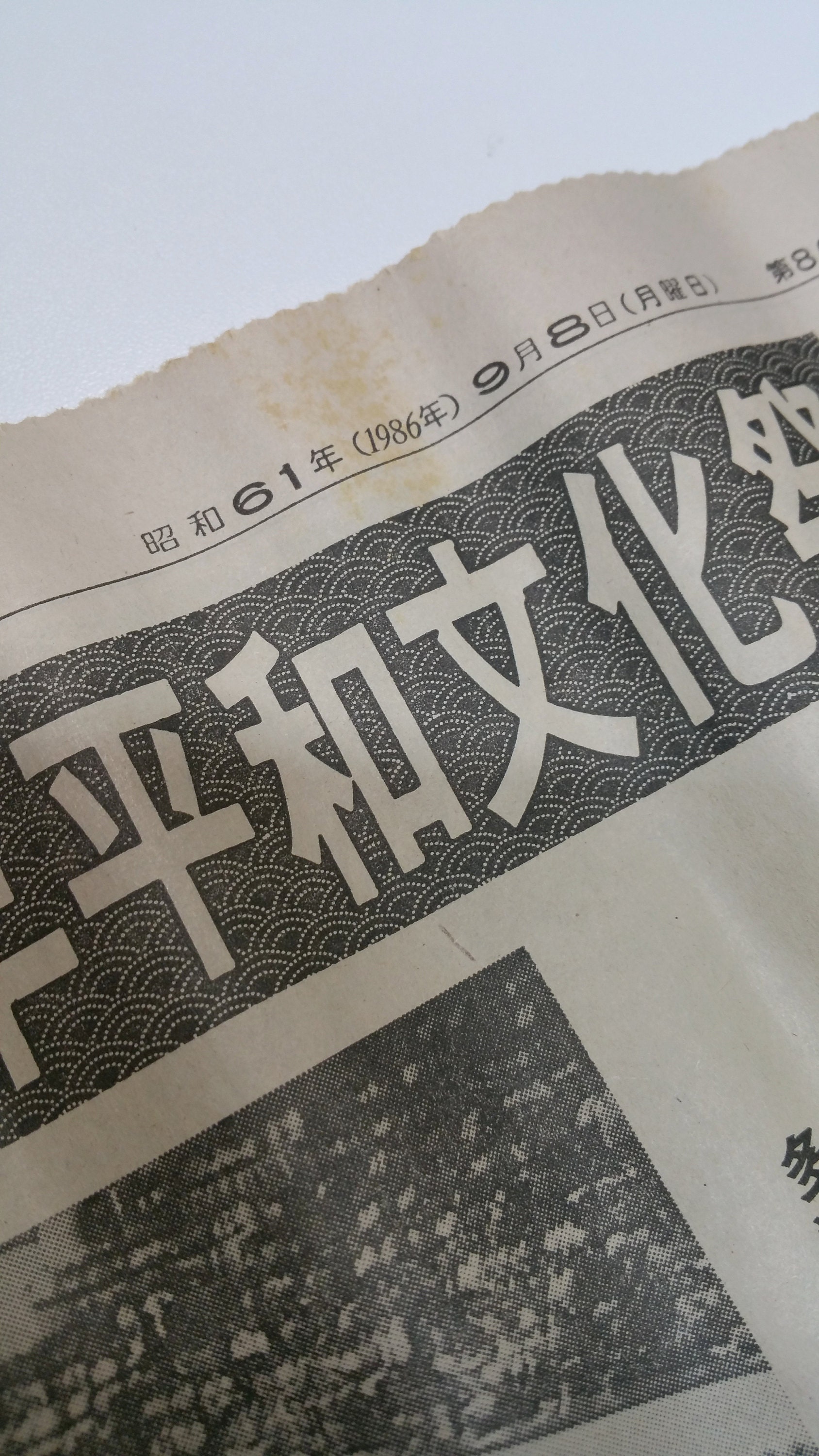 newspaper hidden inside tanmono