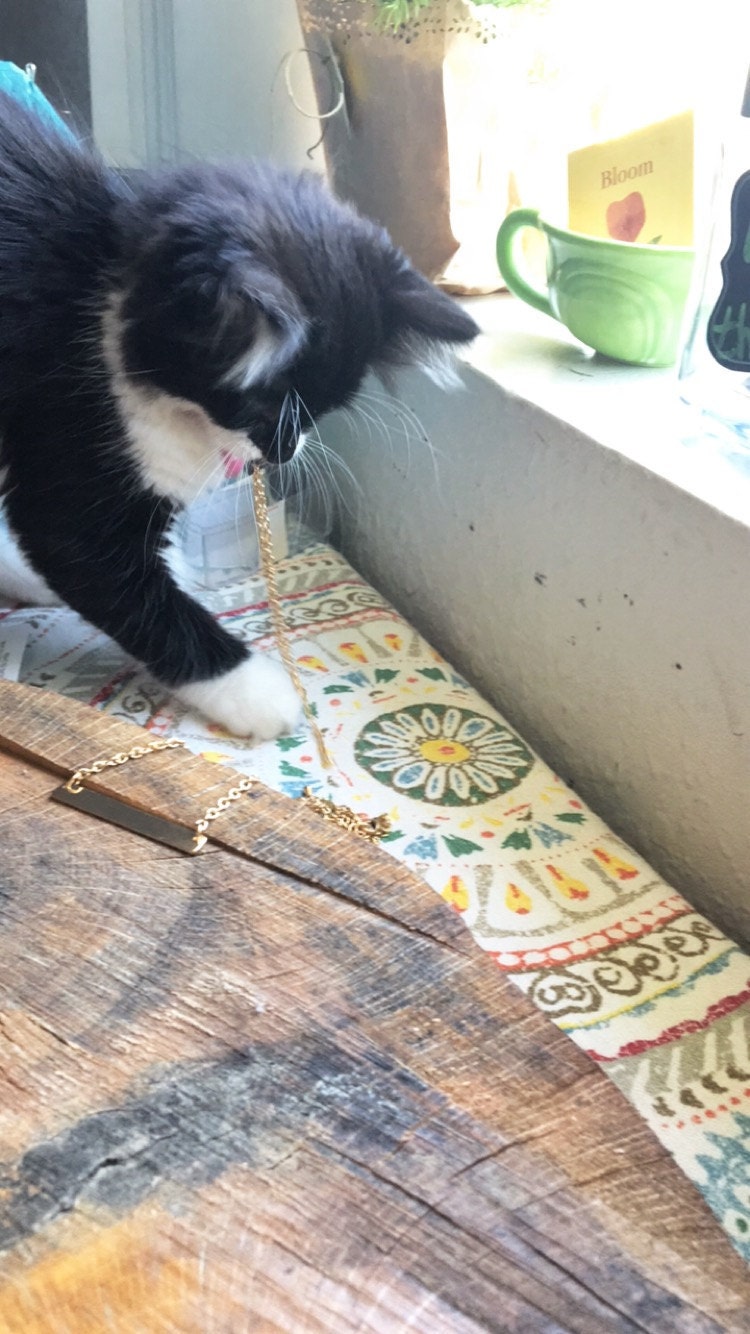 My kitty Jiva playing with the gold chain.