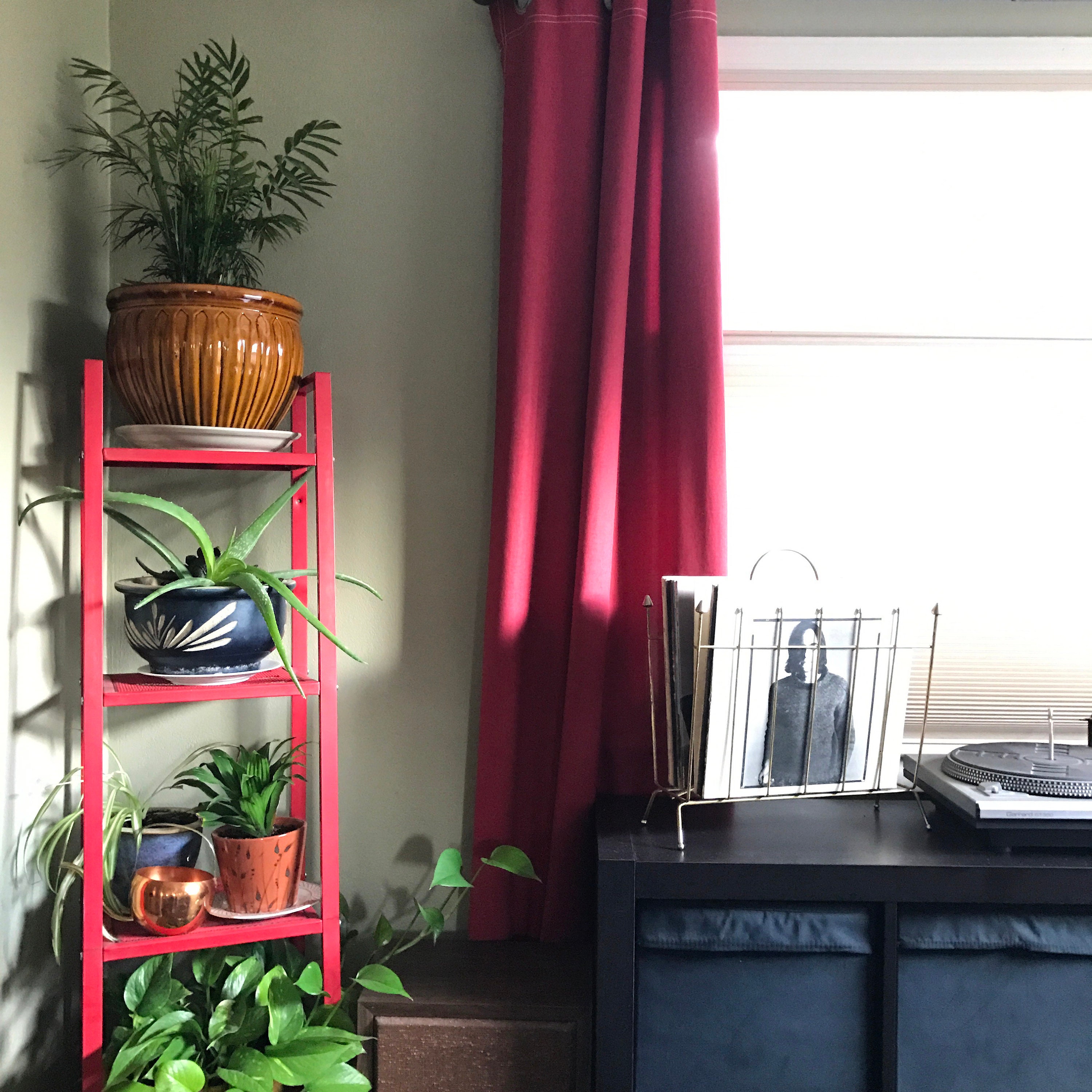 My plant corner in our dining room has pops of red against neutral olive green.