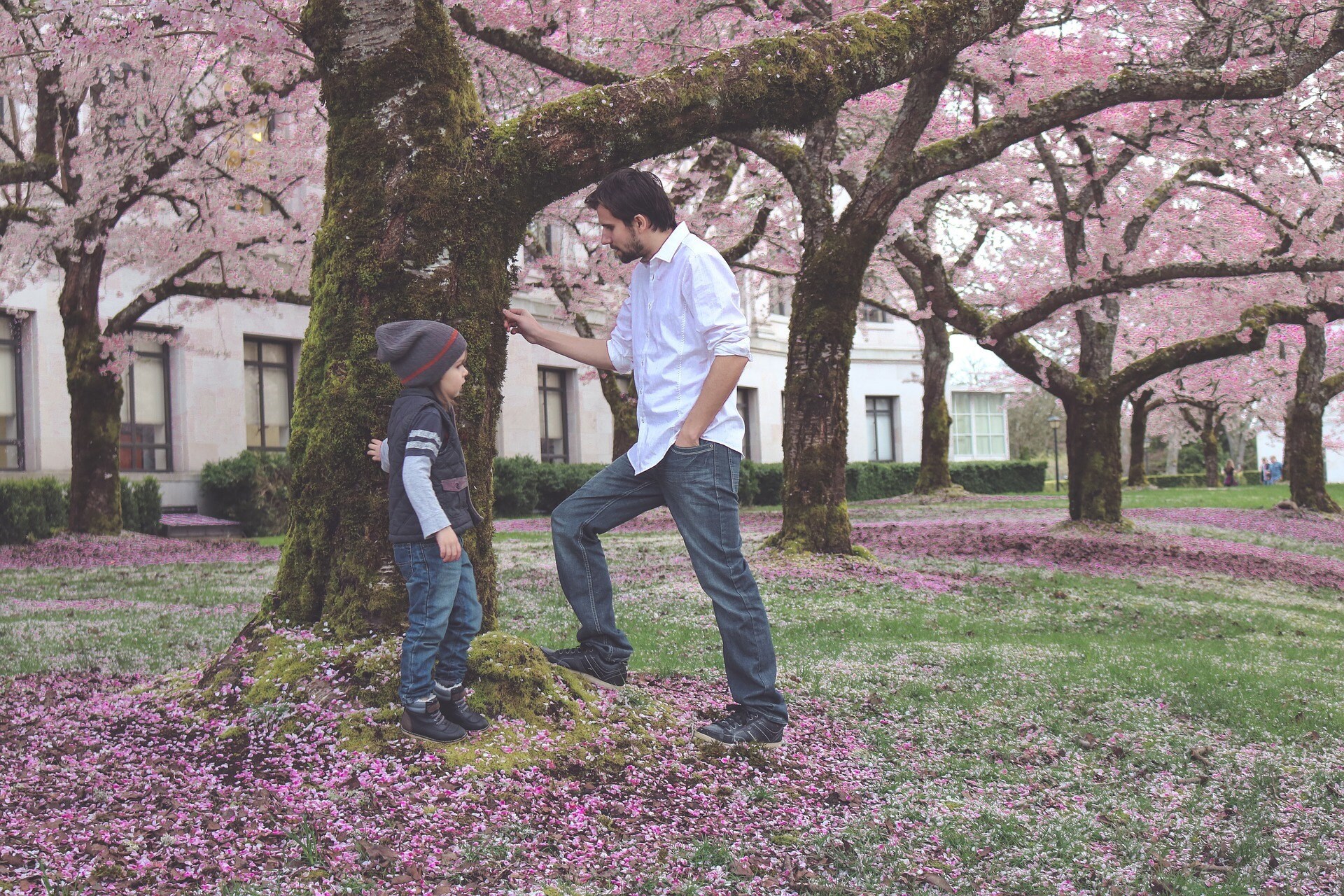 Dad, child, leaves, spring, grass, learning, experience, sensory, colors