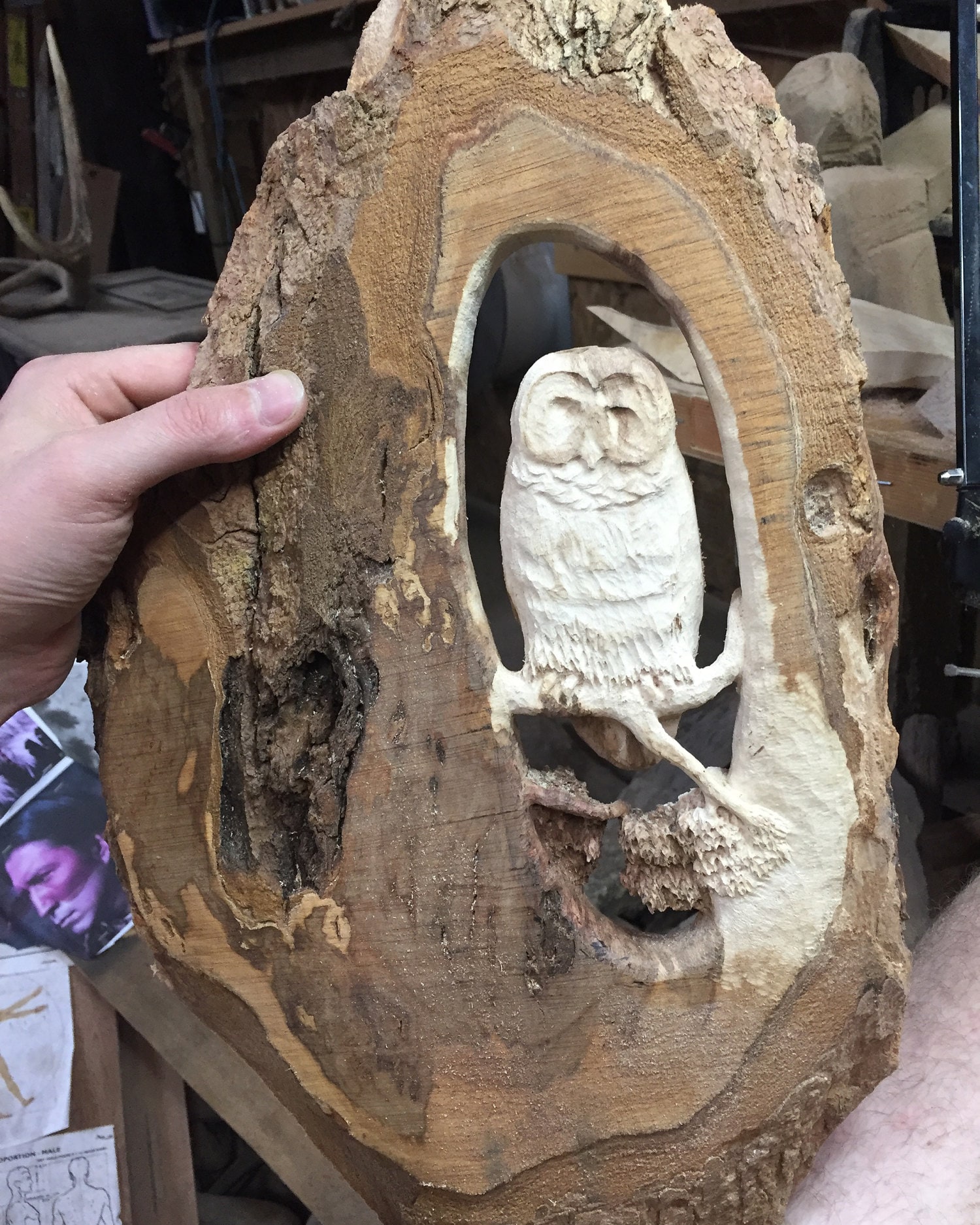 I have shaped the owl and the branches quite a bit at this stage of the carving. A little detail has creeped its way in there, with lots more detailing to go. This part is the most tedious and time-consuming aspect of this style of carving.