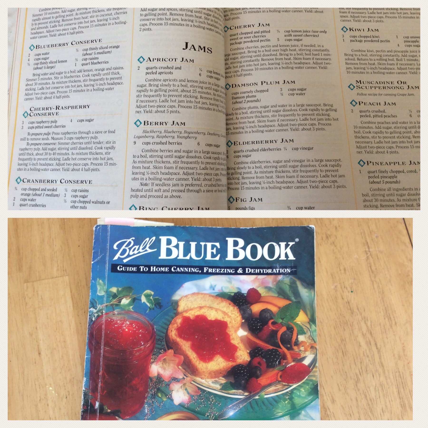 Ball Blue Book canning cookbook
