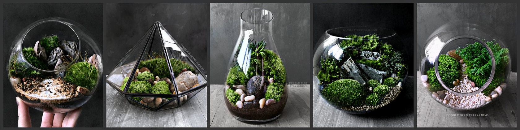 Doodle Bird Terrariums