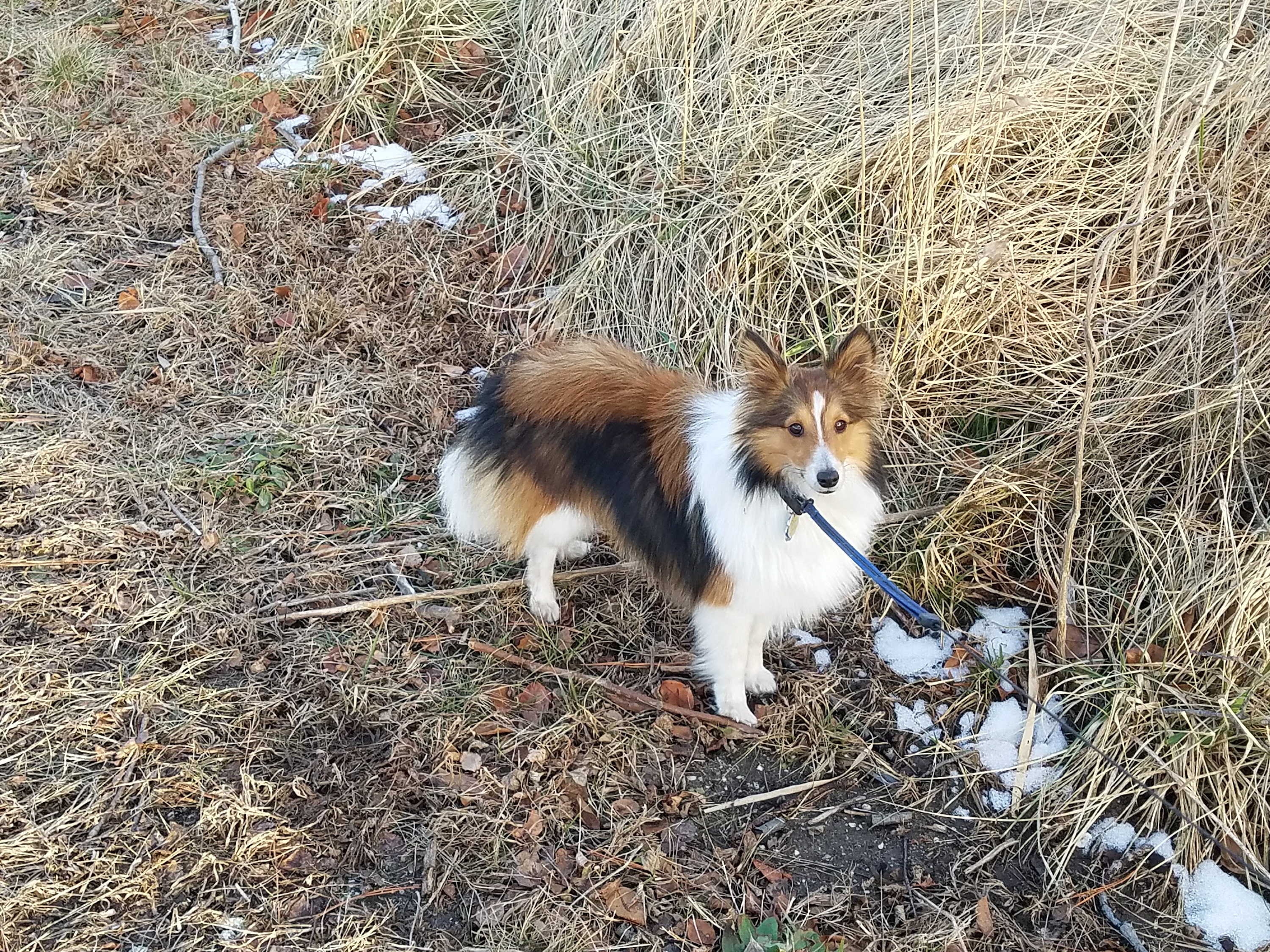 My best friend on a local adventure!