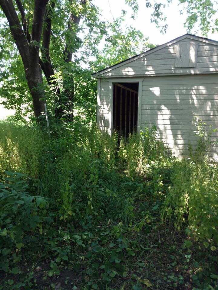 Looking out from the back door of my building in Detroit Last Summer