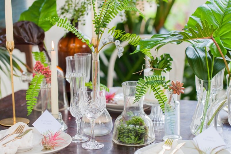 Flamboyant Invites Palm and Gold Photo Shoot