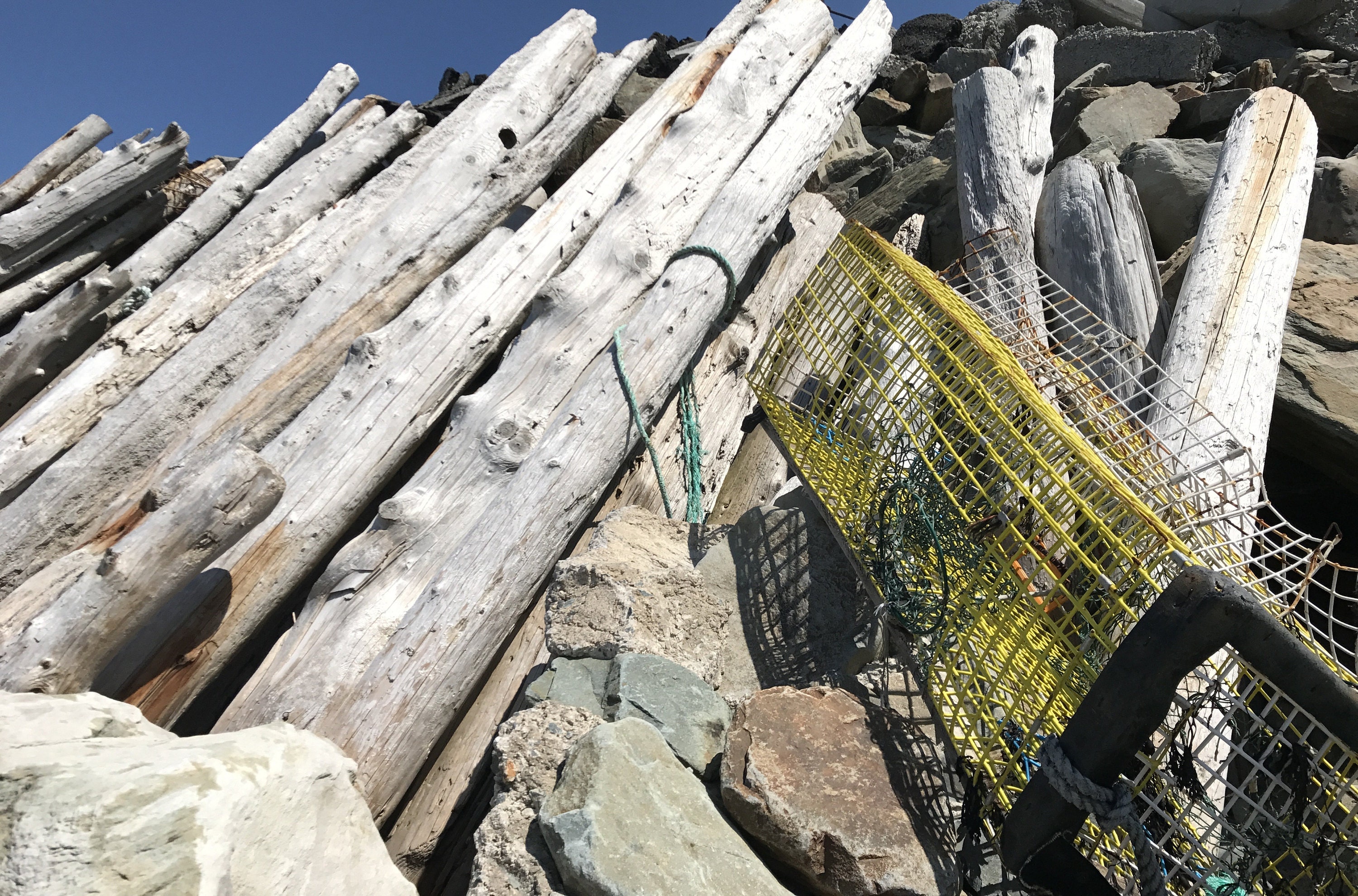 Sea glass collecting in Meteghan Nova Scotia