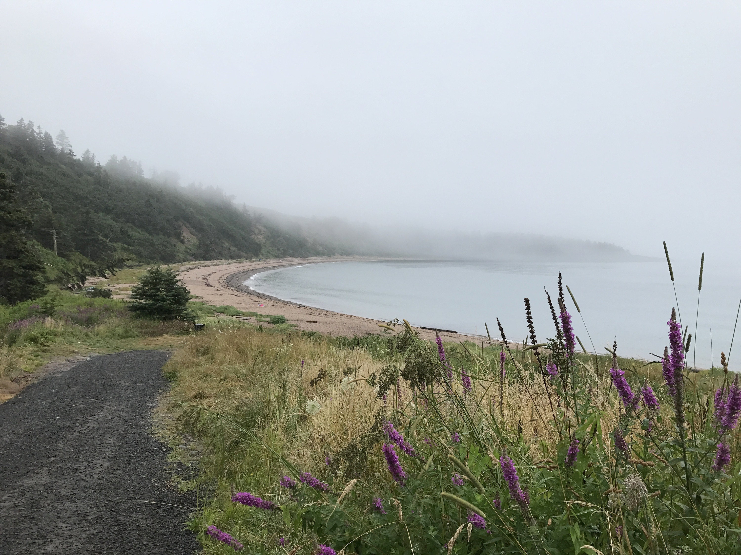 Sea Glass hunting in Sandy Cove, Digby