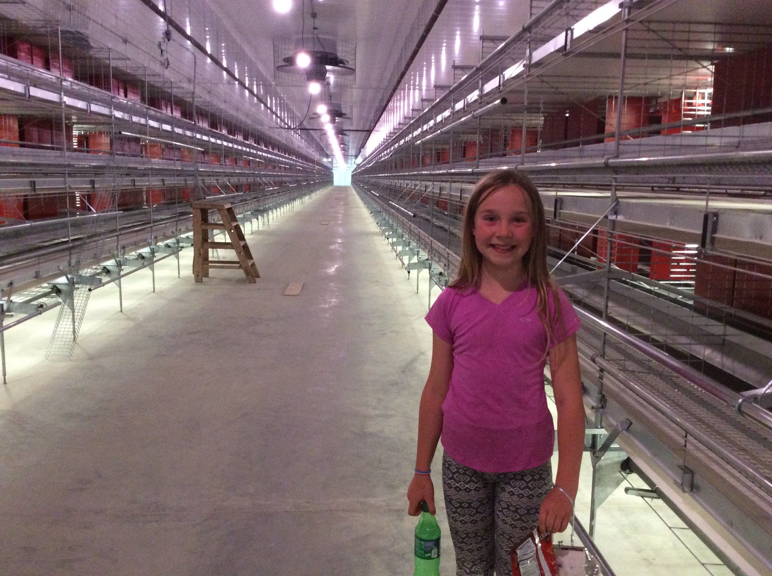 State-of-the-art Free Range Chicken barn