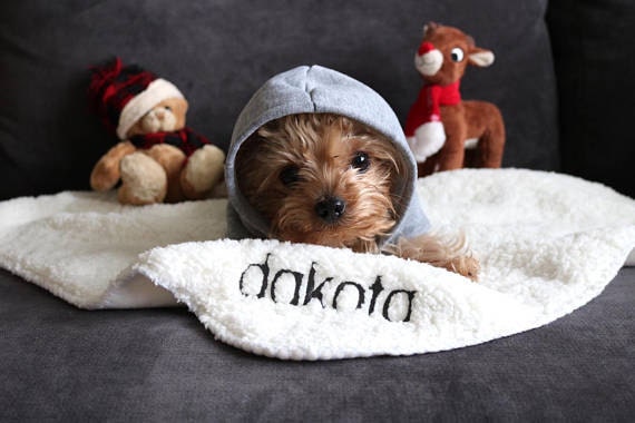 dog blanket from chloedakota