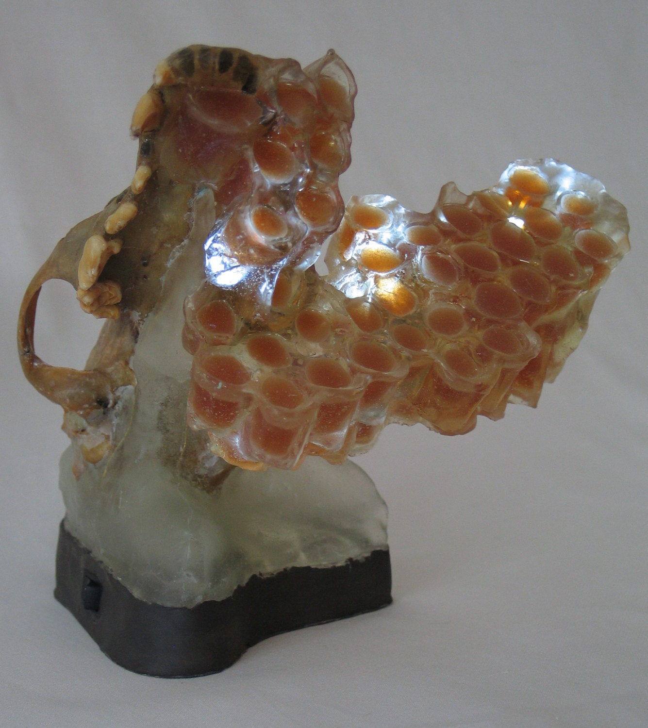Translucent amber honeycomb with embedded LEDs built around a dog skull. Apis habilis: Honeycomb Number 12