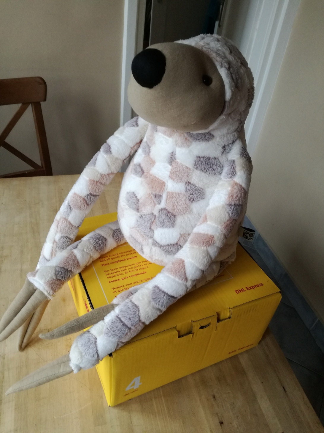 XXL Sloth sitting on a >2kg DHL box (box #4)