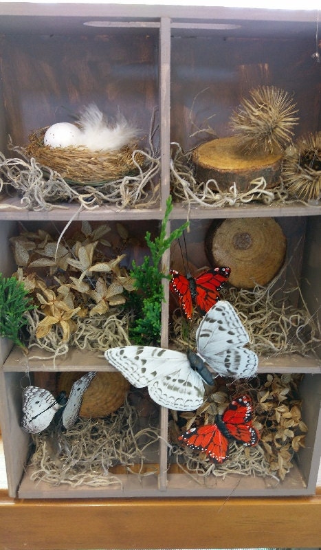 a beautiful pause nature shadow box display oakdale nature preserve mn