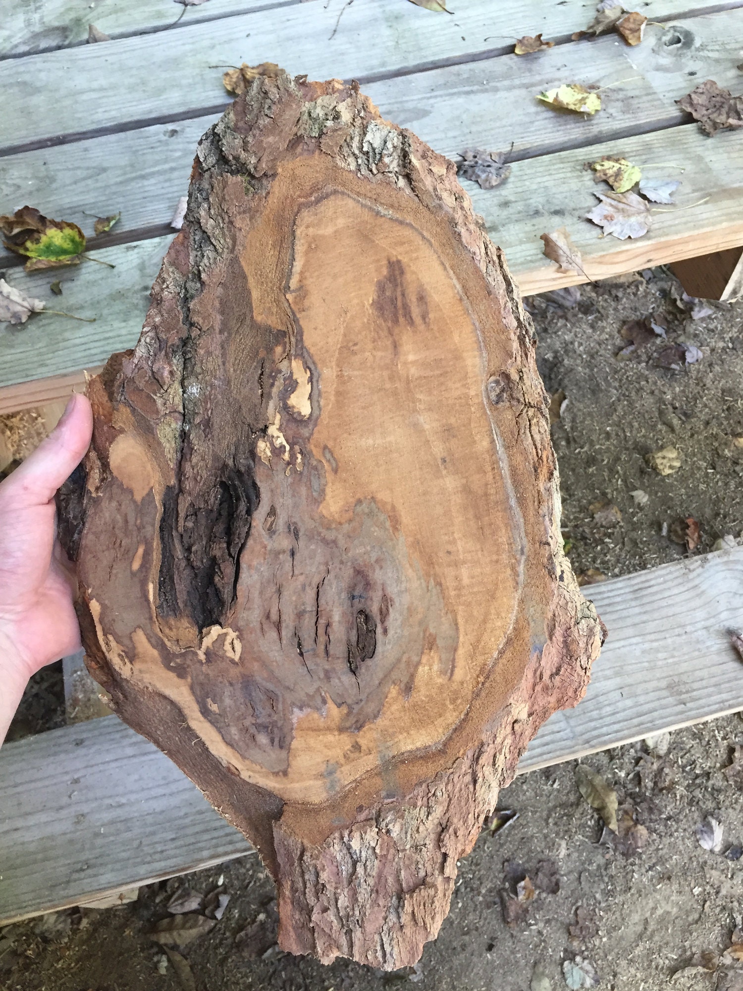 Here is this piece of Sugar Maple Burl that has been cut from a tree and then milled into a slab. It is still in raw form.