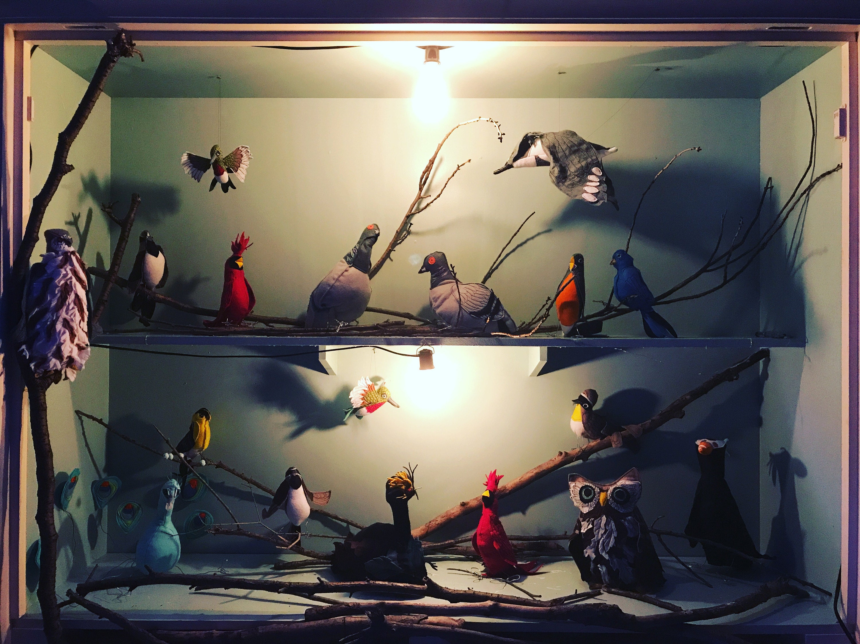 Not for the Shooting gallery finished installation