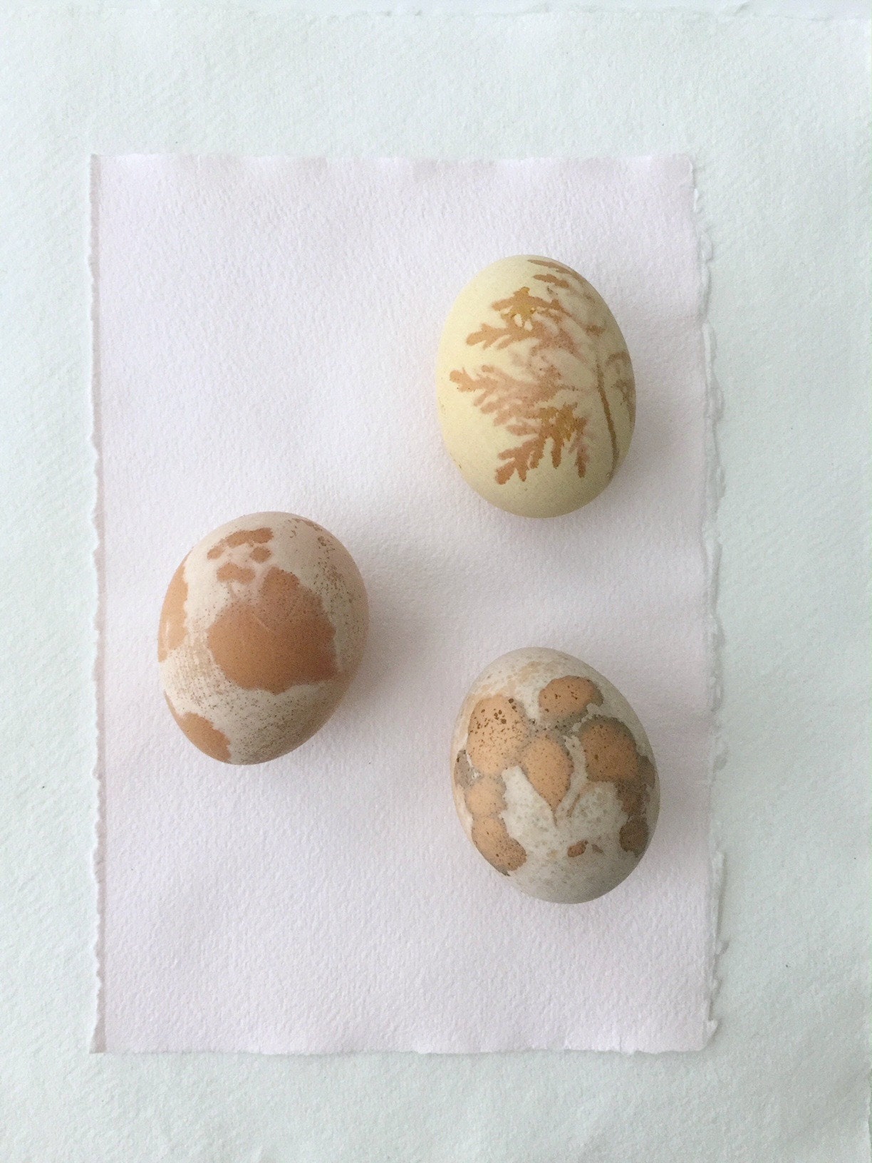 diy_natural_dyed_easter_eggs