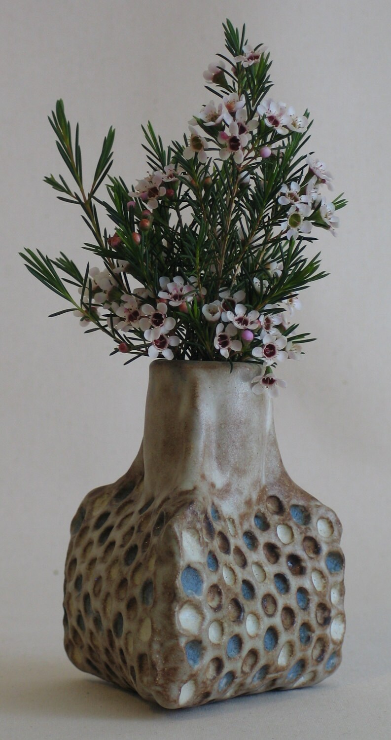 Ceramic Honeycomb vase.  Apis habilis:  Vase Number 5