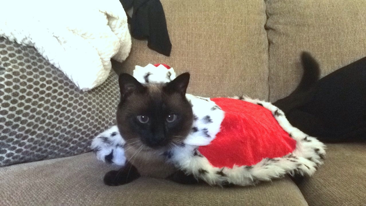Her Royal majesty Ms. BB King