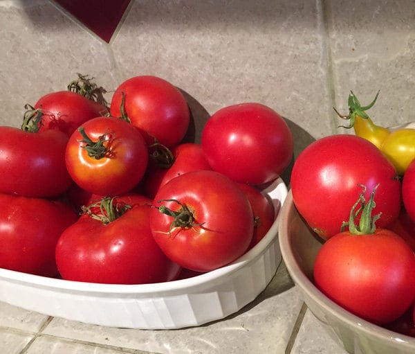 Easy Summer Recipe: Fresh Tomato Soup