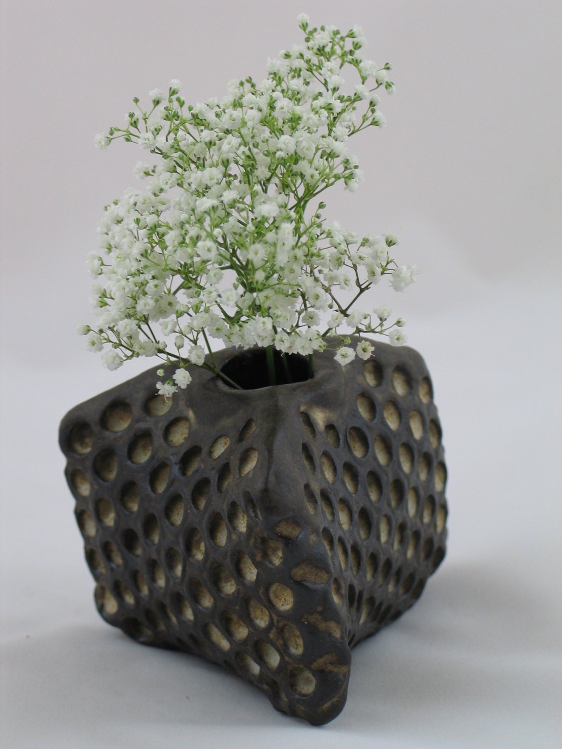 Ceramic Honeycomb vase.  Apis habilis:  Vase Number 11