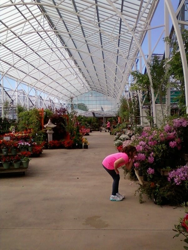 My daughter Aliyah, in a long greenhouse, smelling some beautiful pink flowers.