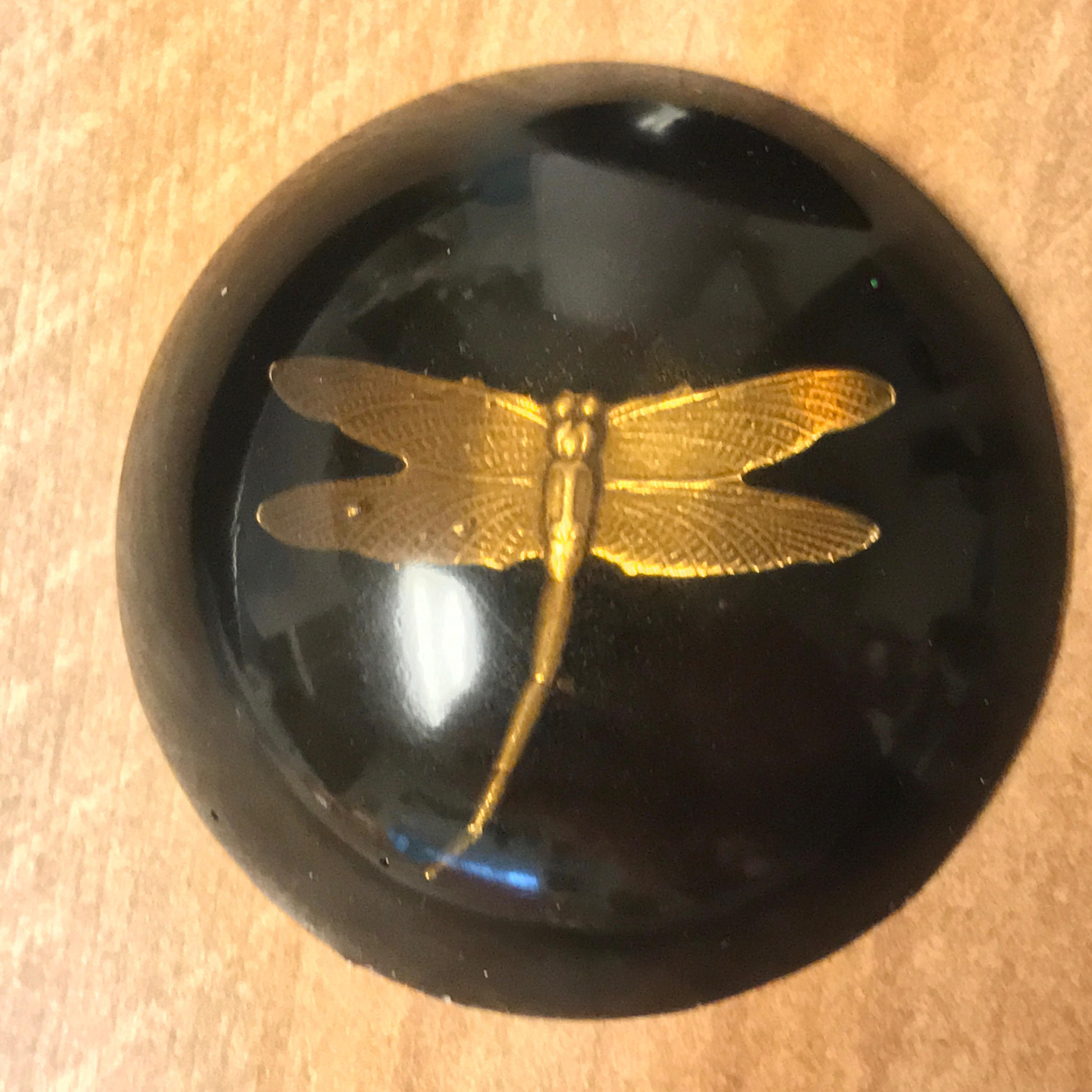 Dragonfly in Amber Paperweight