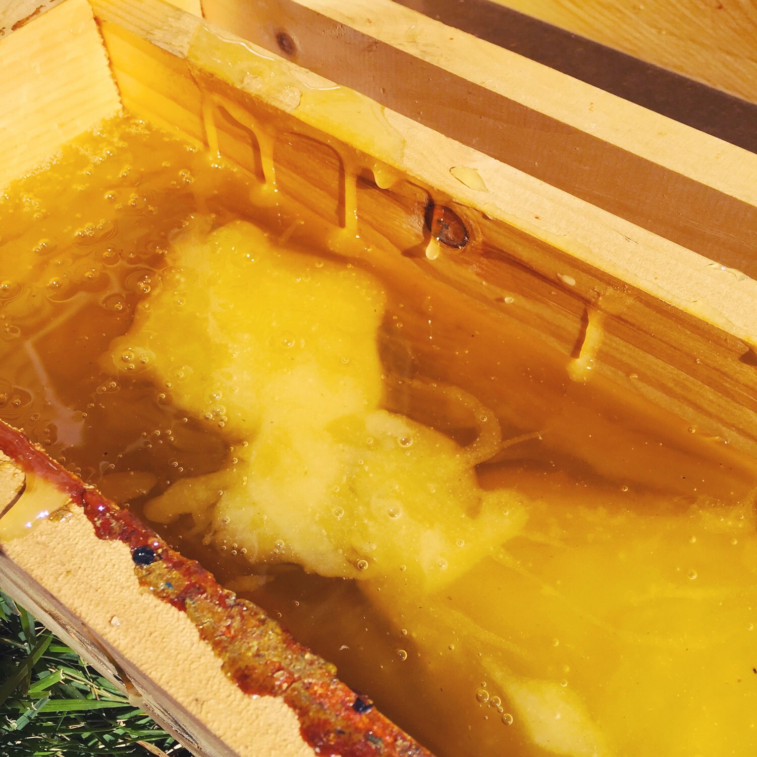Honey in Hive Top Feeder