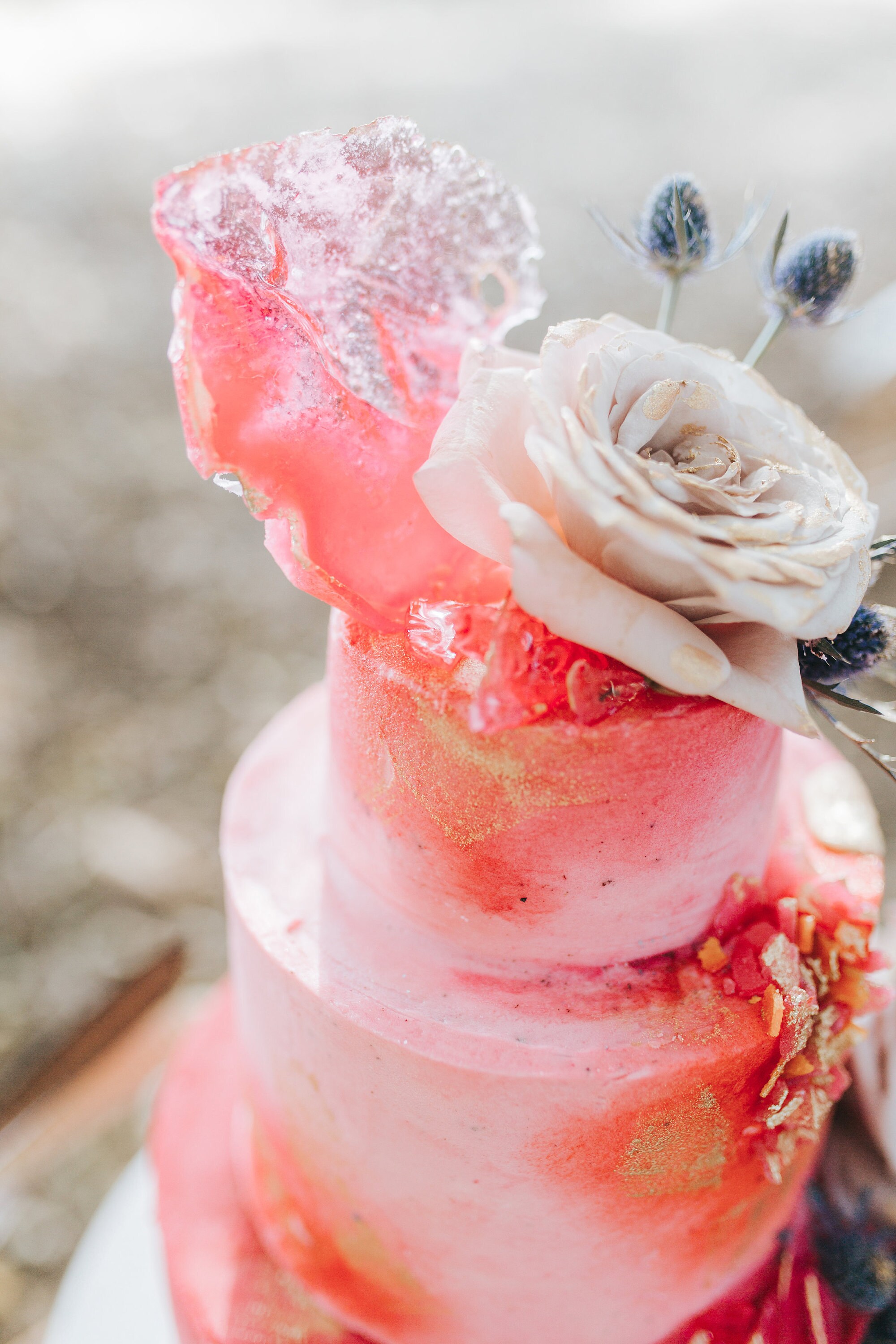 Wild Child Cakes