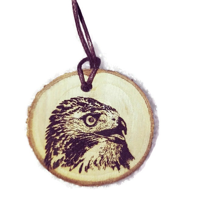 American Red Tailed Hawk Buzzard Bird Of Prey by @retrosheep