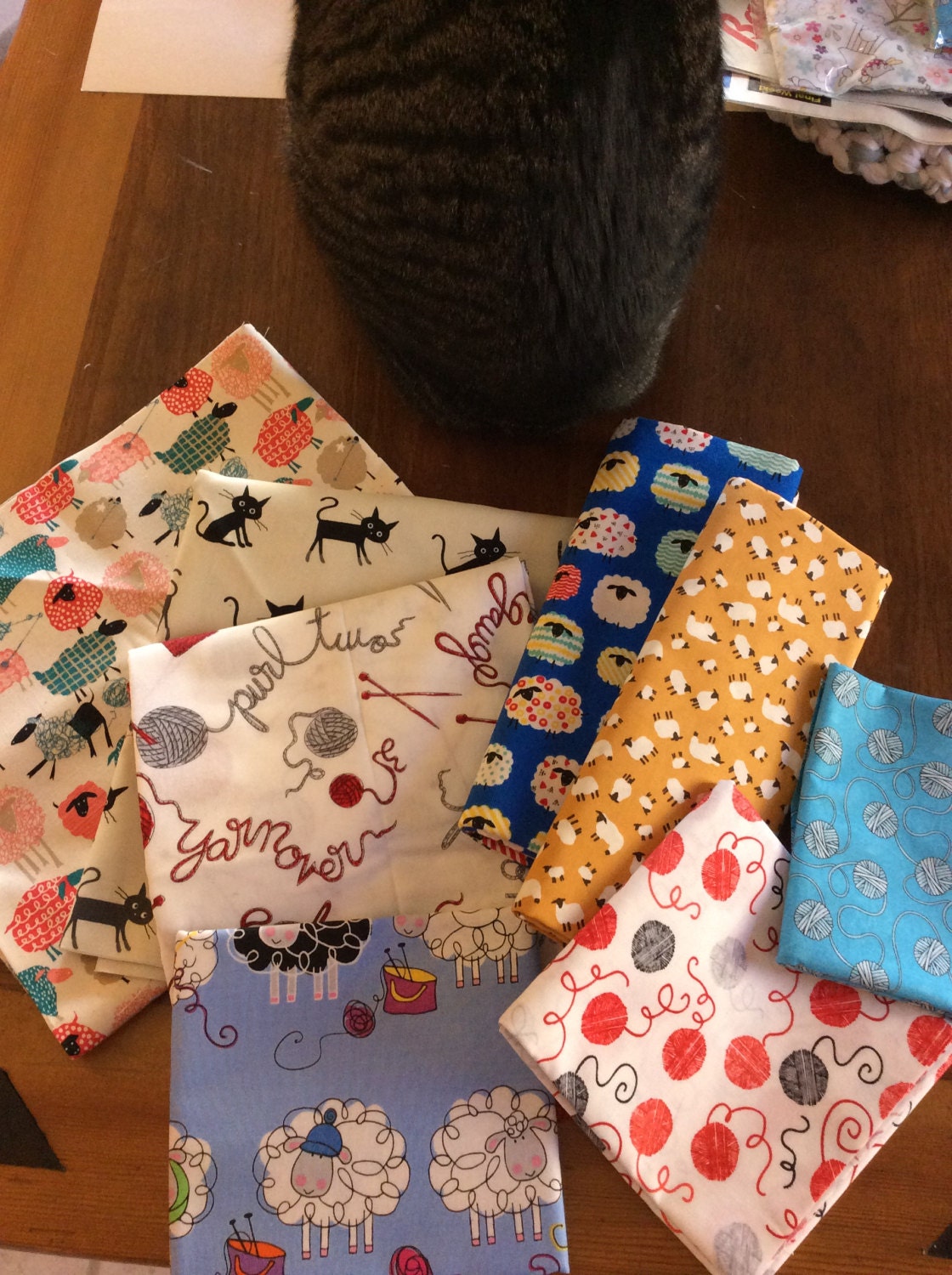 New fabrics and a photo bomb