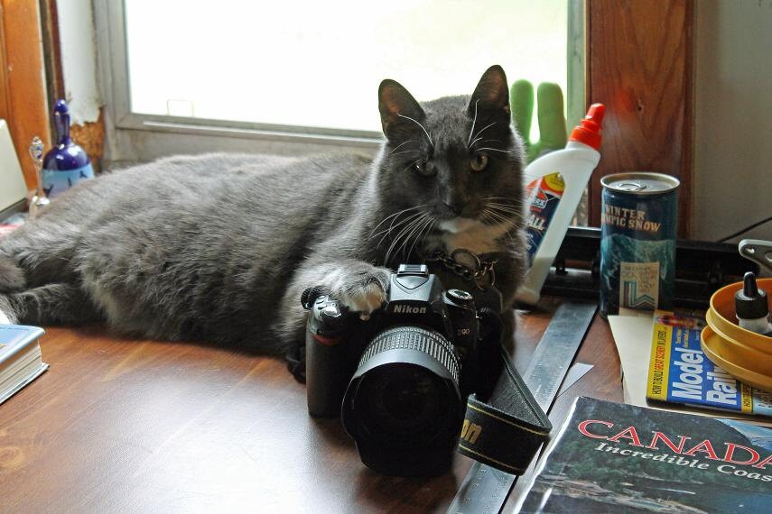 seymour and camera