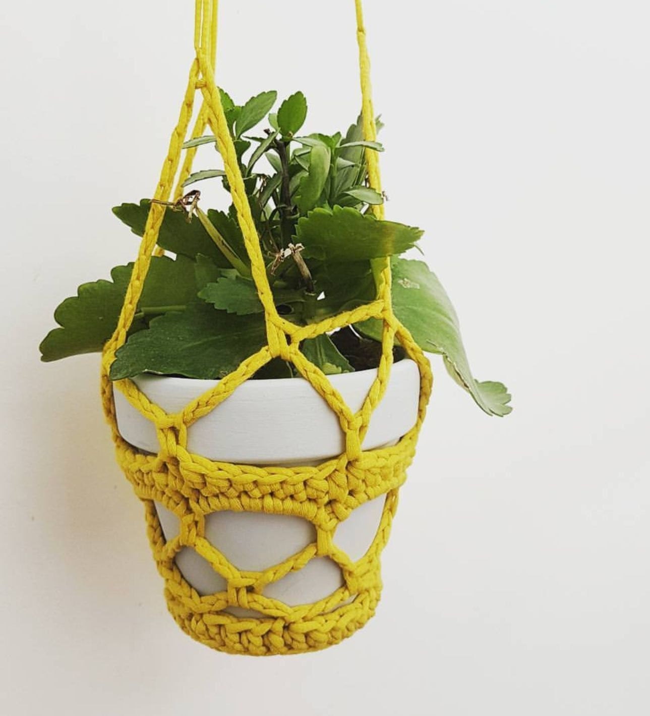 Crochet Pot Plant Hanger&hellip; FREE PATTERN AND TUTORIAL