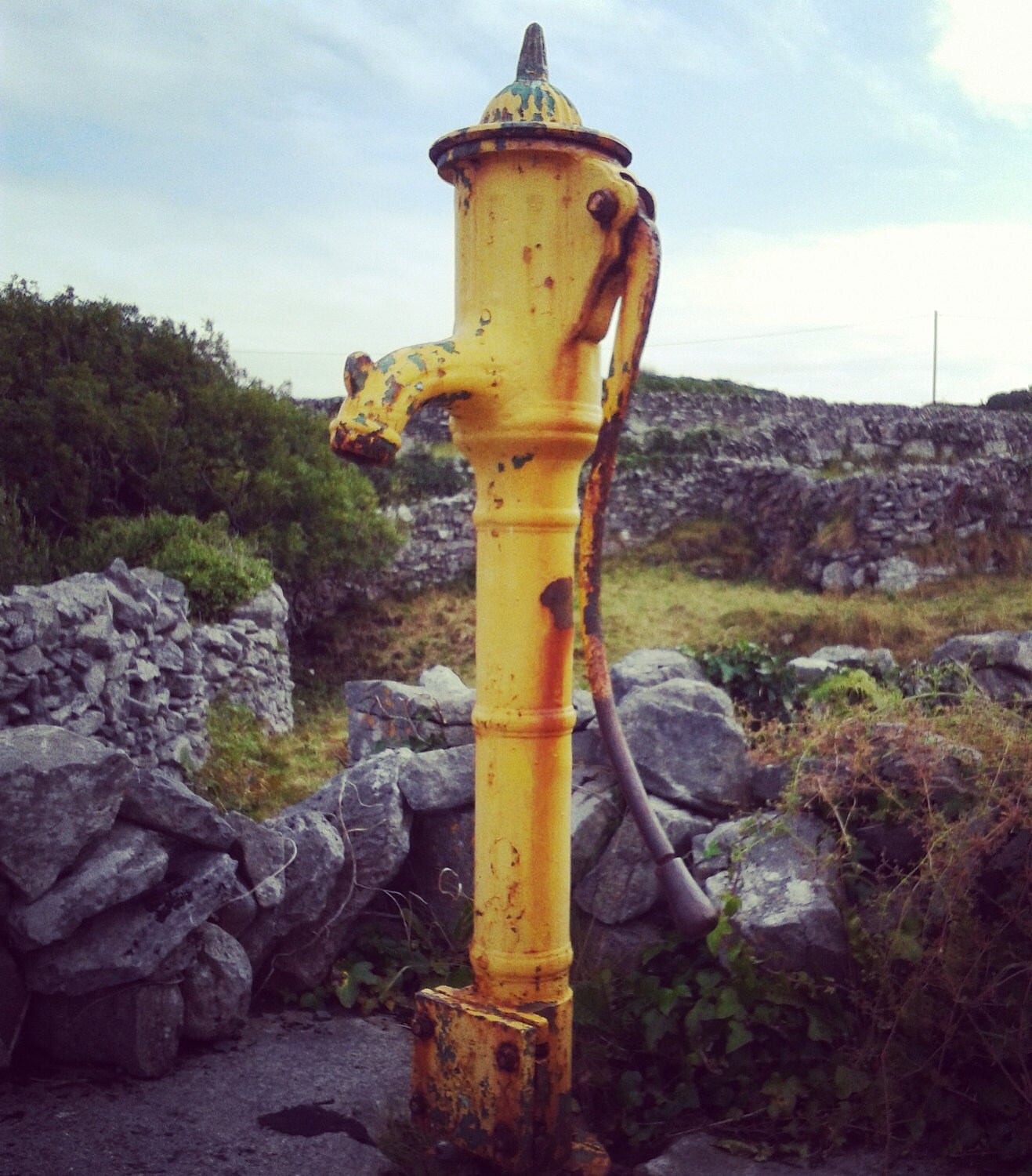 Water pump