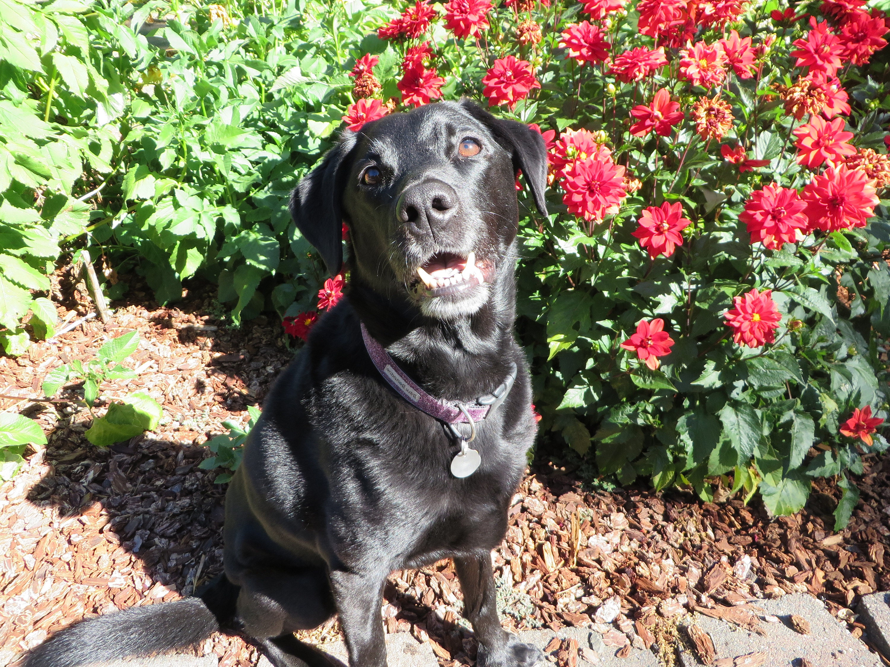 Someone that is very happy to see the sun!