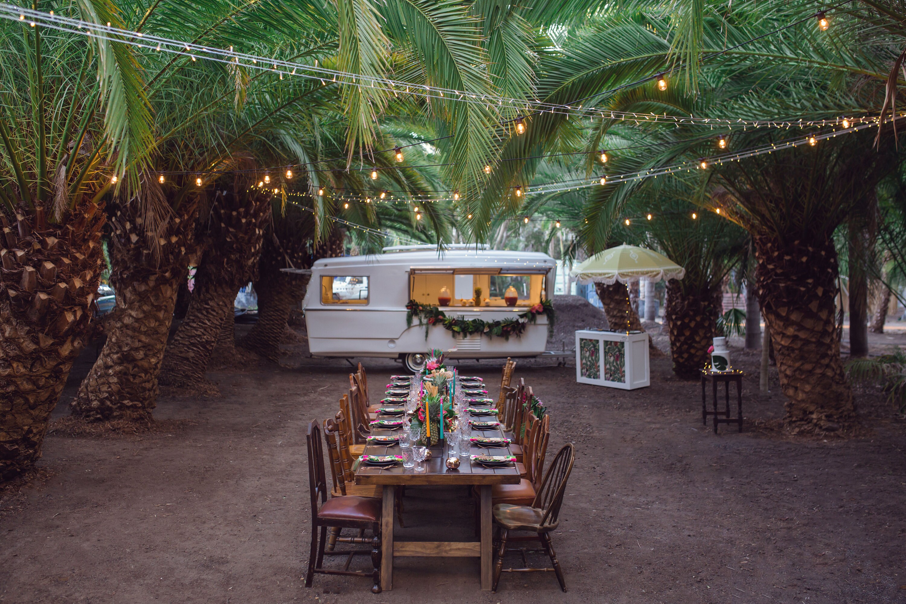 Tropical Palm tree farm wedding