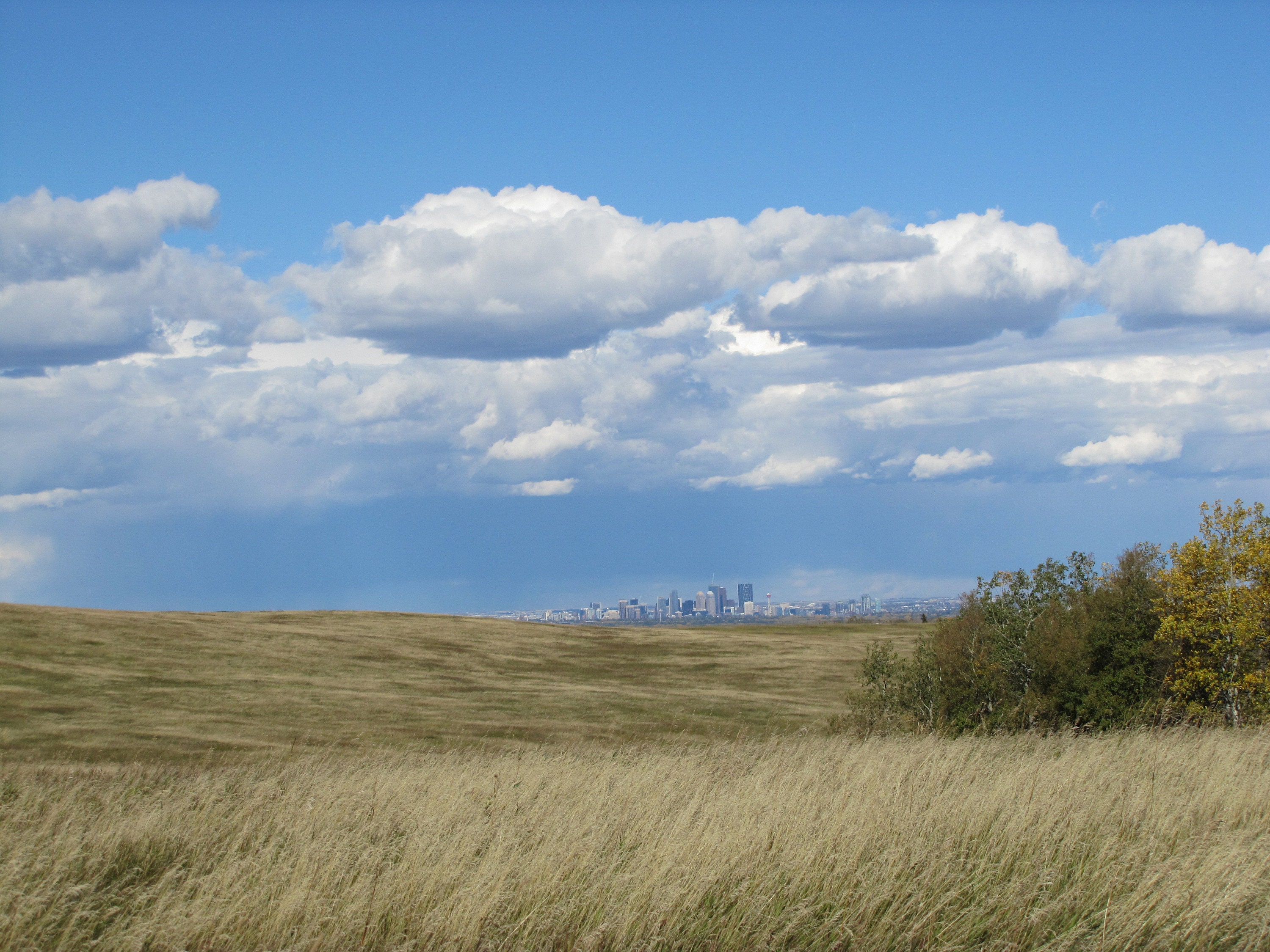 Calgary in the distance