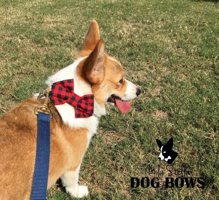 dog bow from Mila Stella Dog Bows