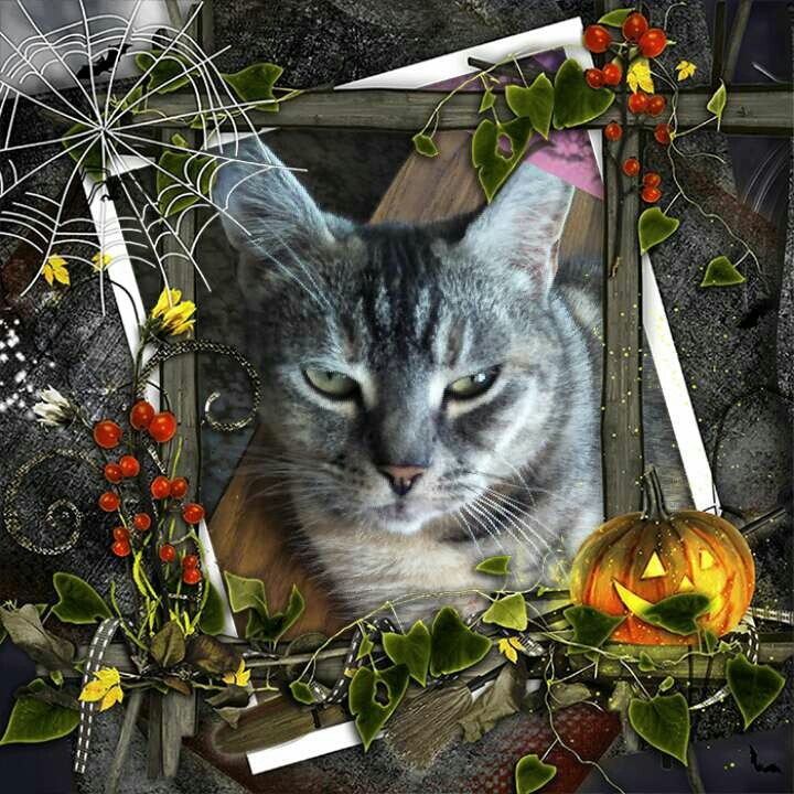 Lilly