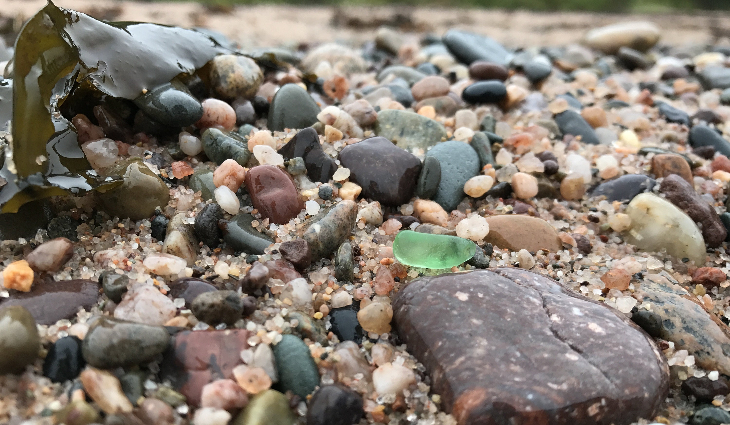 Collecting sea glass in Digby Nova Scotia