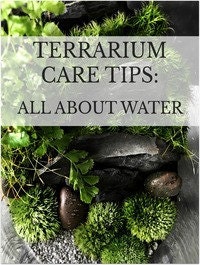 All about water