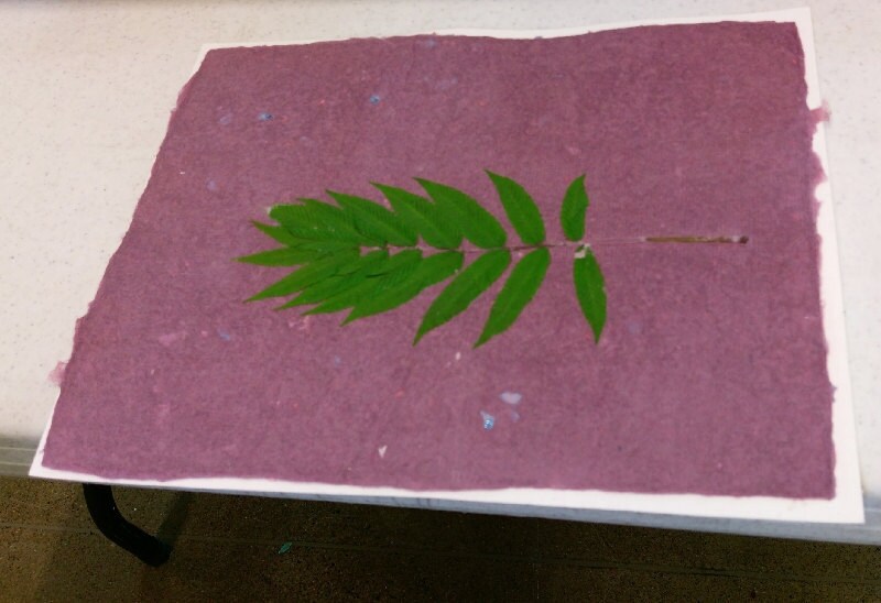 a beautiful pause paper making nature imbedded oakdale mn