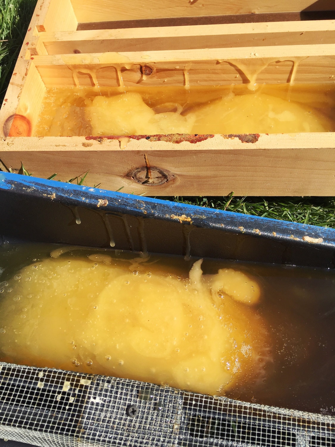 Hive Top Feeder