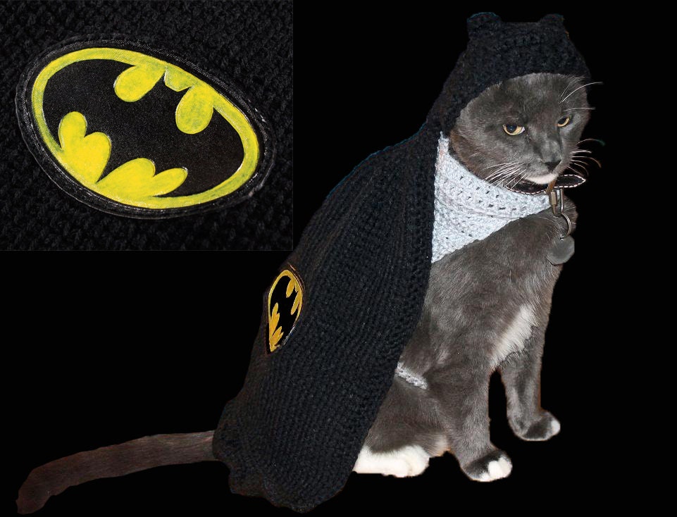 pet, costume, batman, batcat, batdog